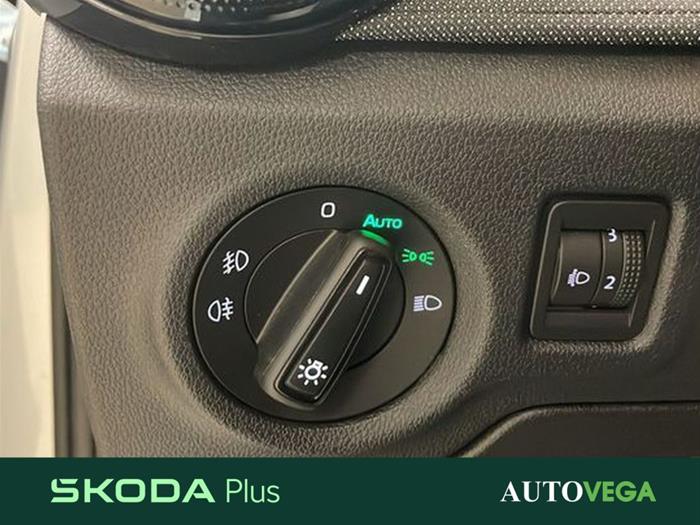 AutoVega - SKODA Fabia | ID 41489