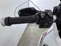 AutoVega