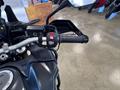 AutoVega