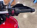 AutoVega