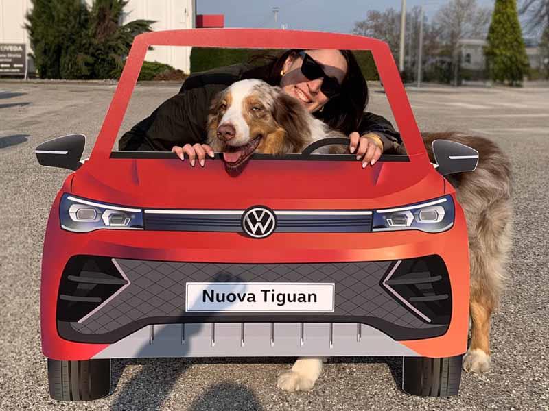 Concessionaria Autovega