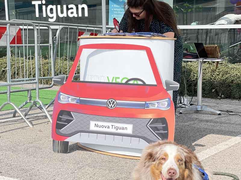 Concessionaria Autovega