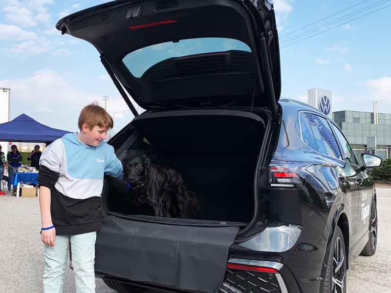Concessionaria Autovega