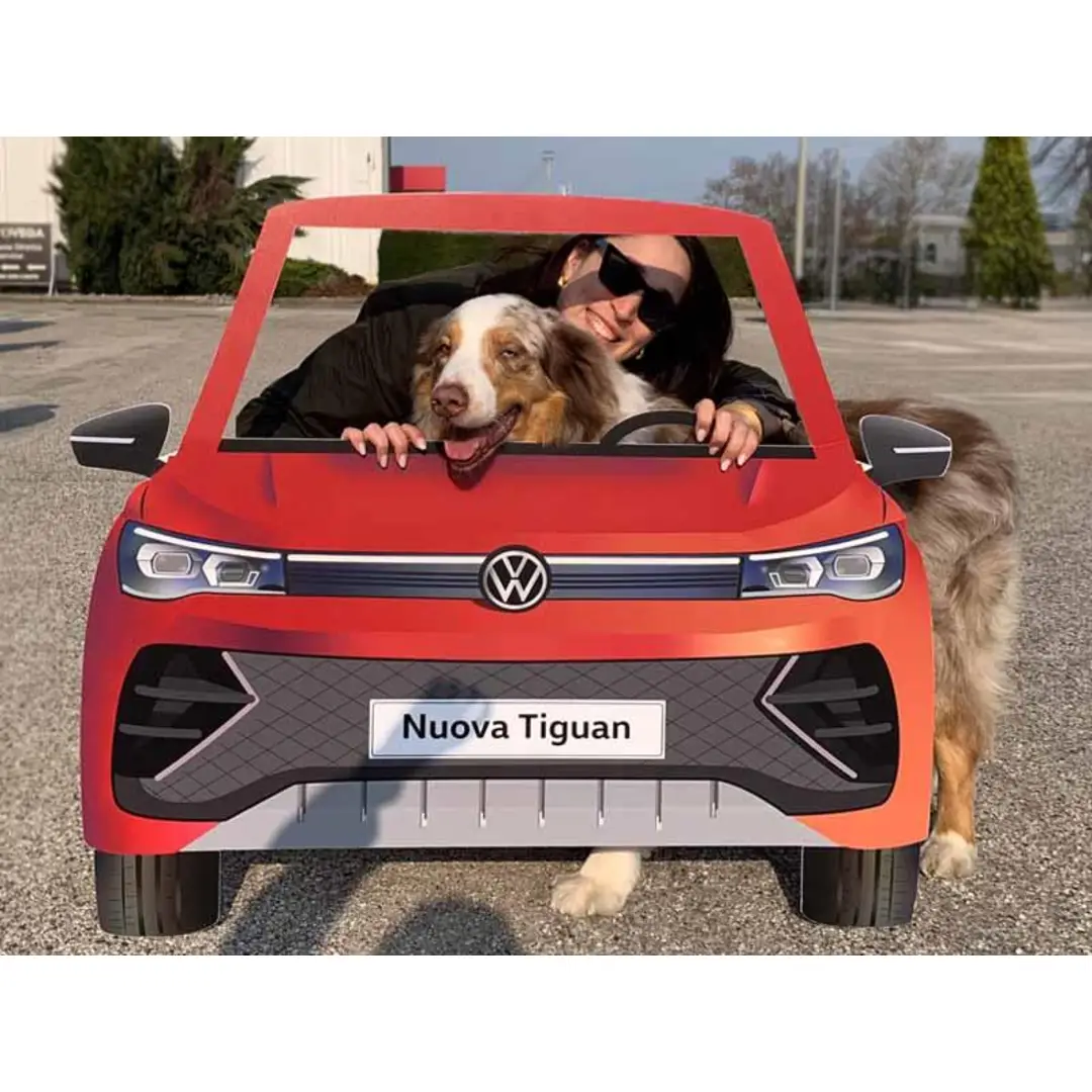 immagine di galleria