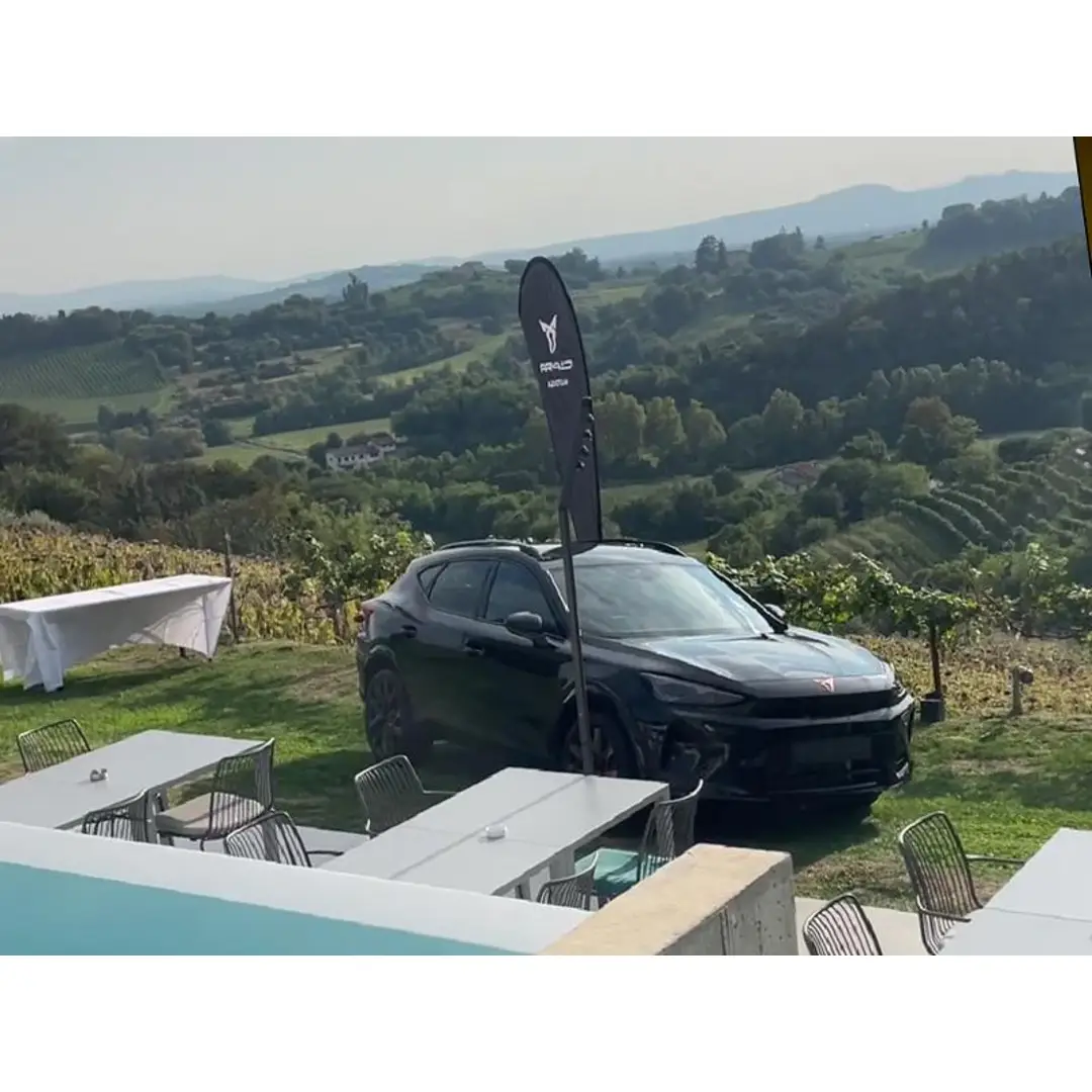 immagine di galleria