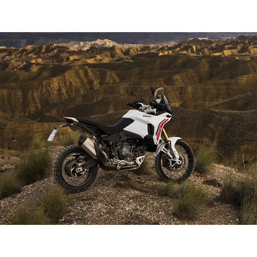 immagine di galleria