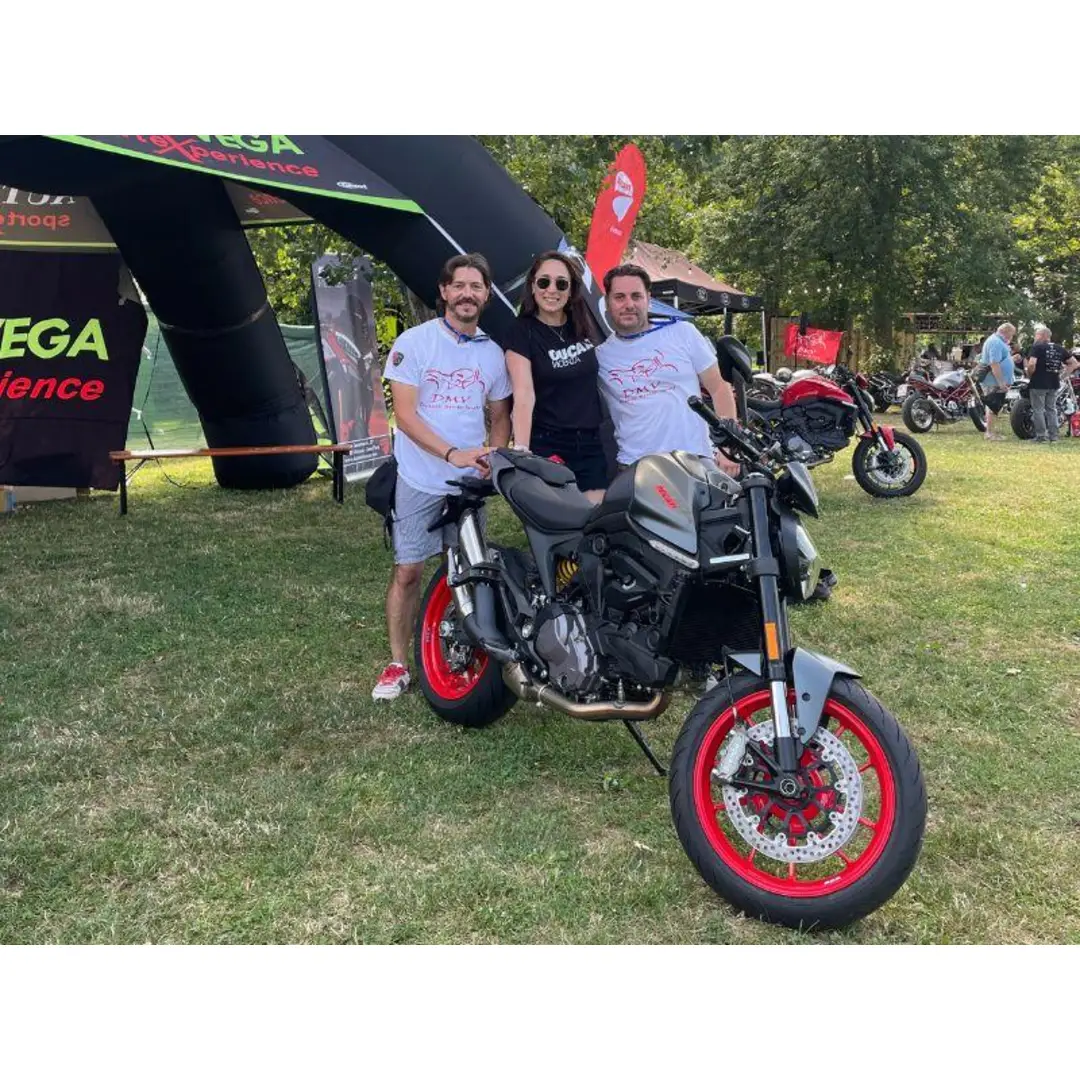 immagine di galleria