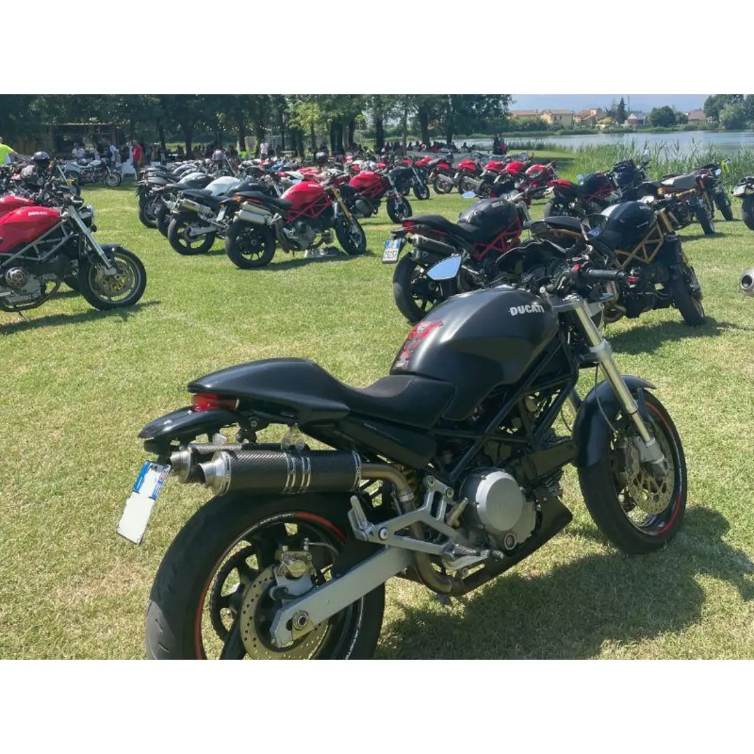 immagine di galleria