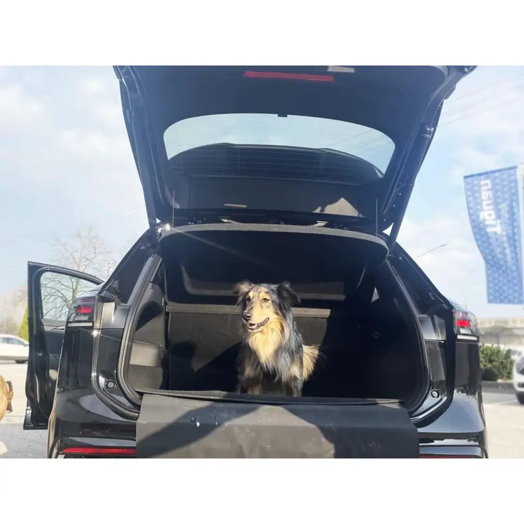 immagine di galleria