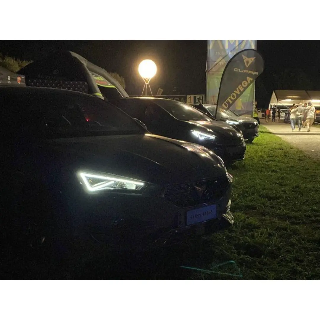 immagine di galleria