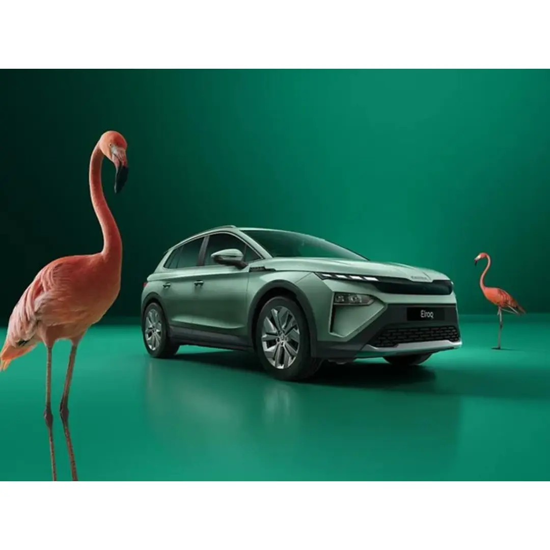 immagine di galleria