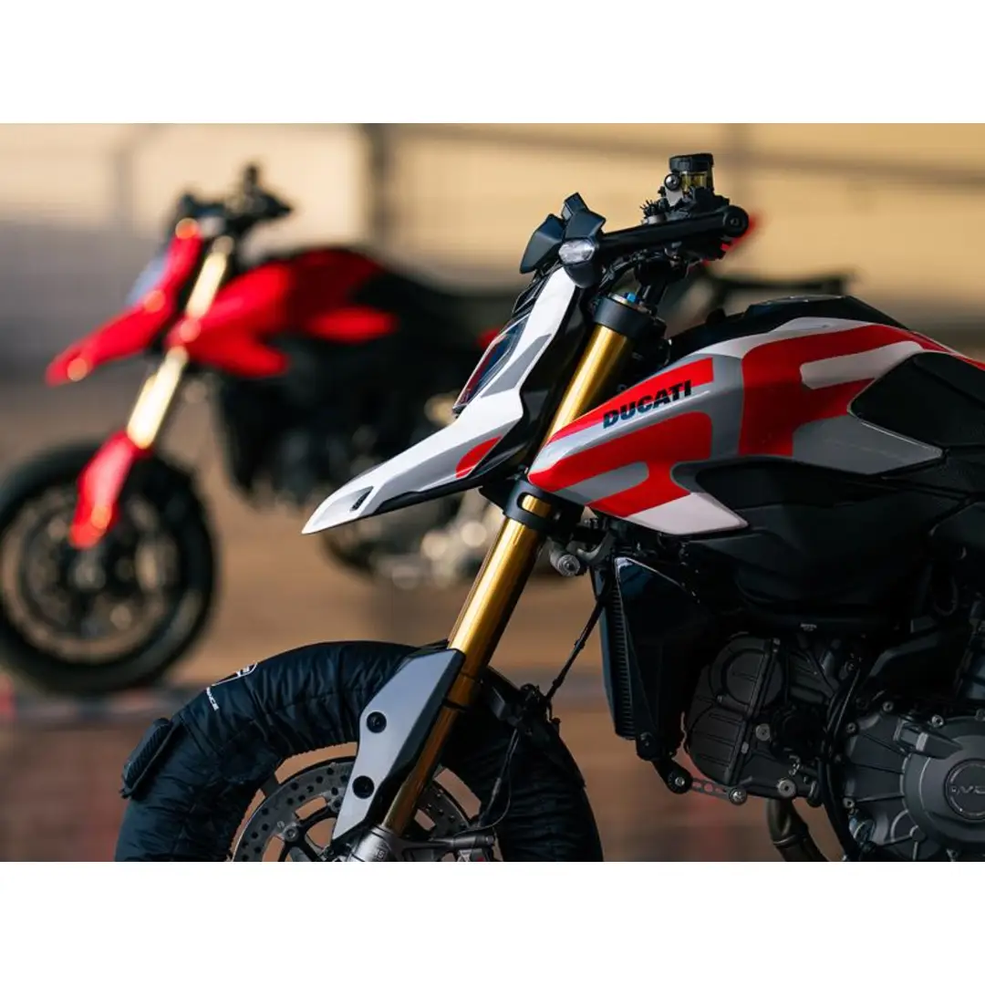 immagine di galleria