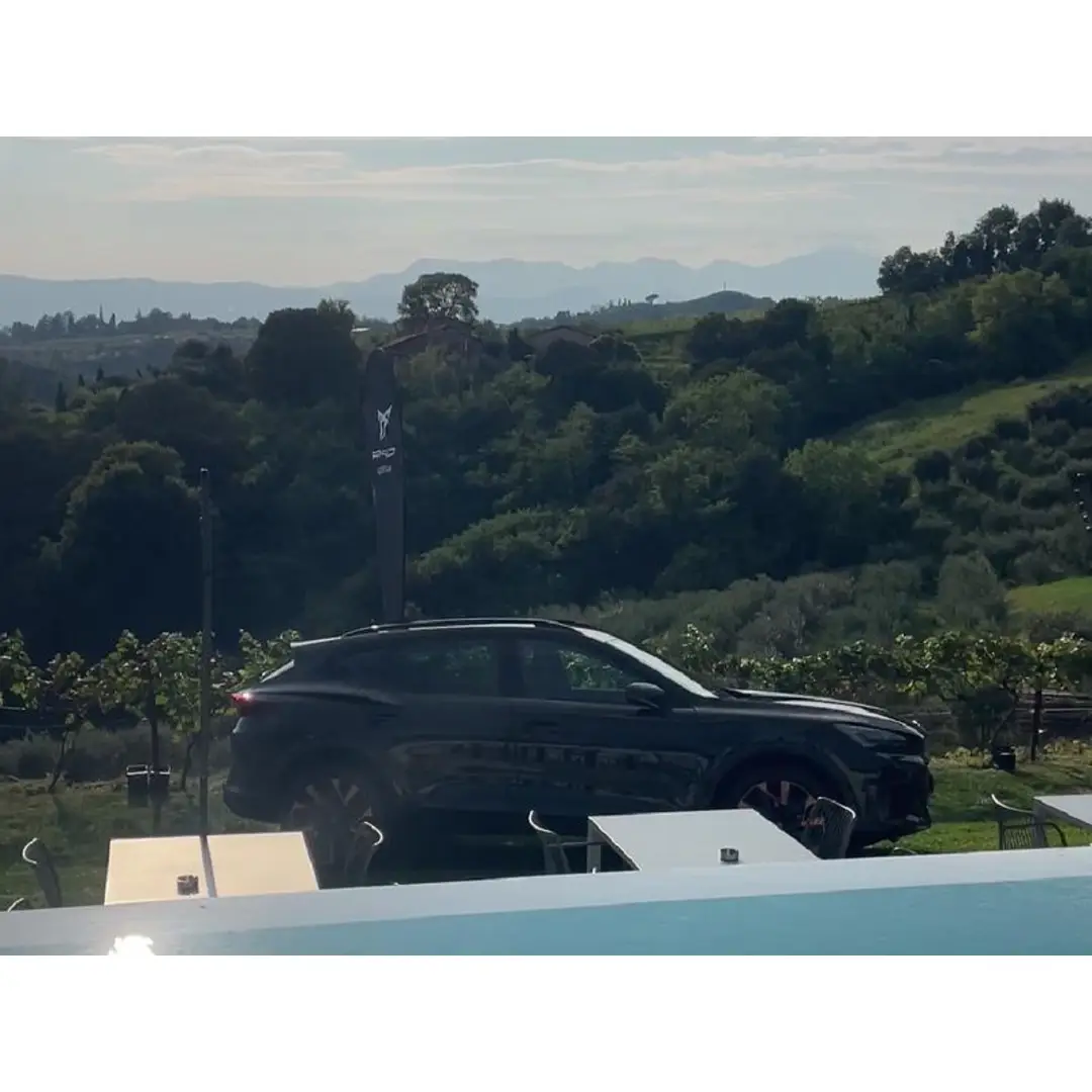 immagine di galleria