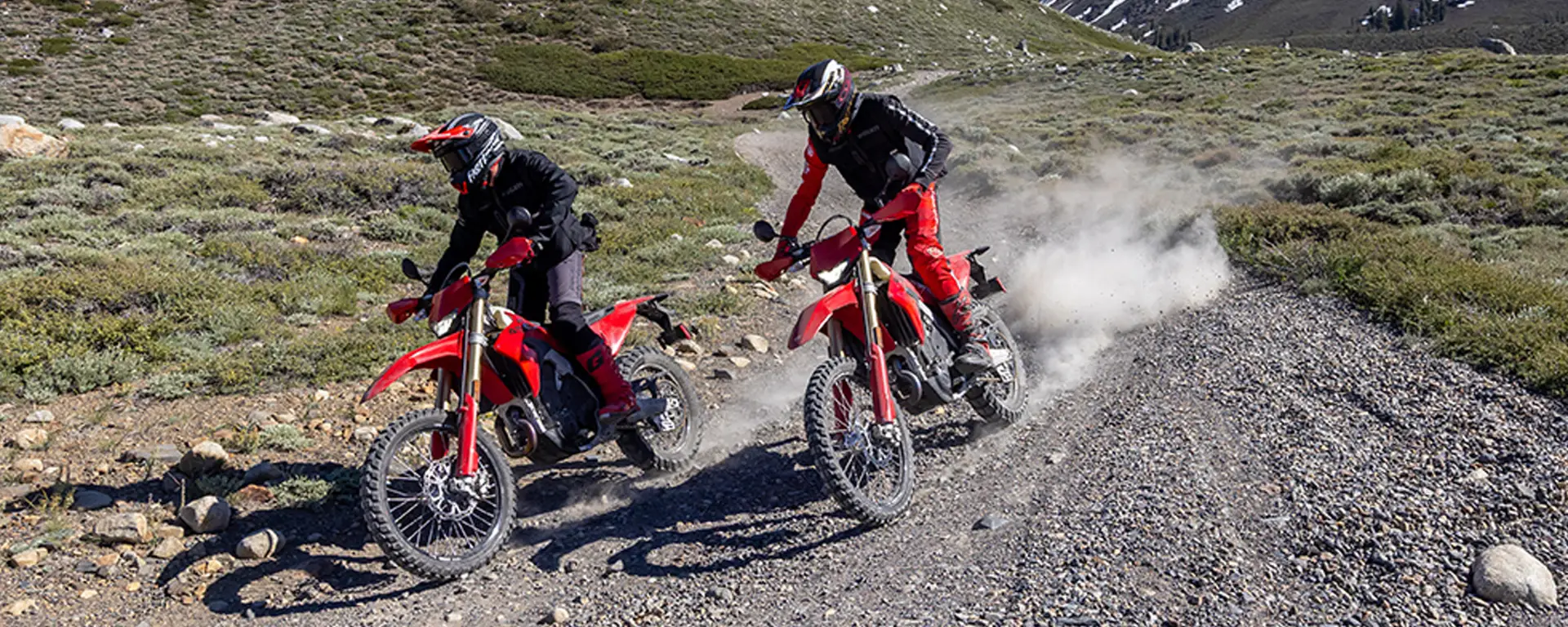 slider Nuova Desmo450 EDS