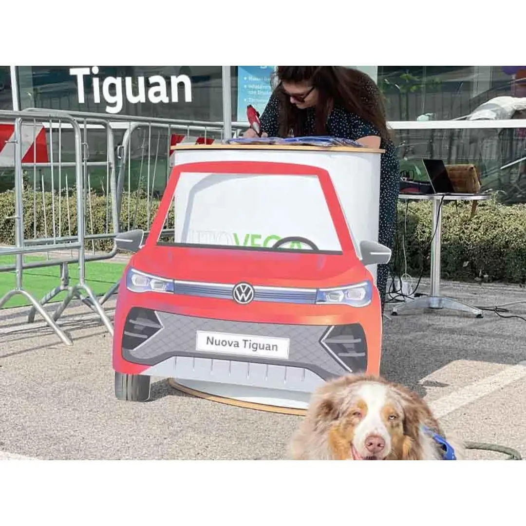 immagine di galleria