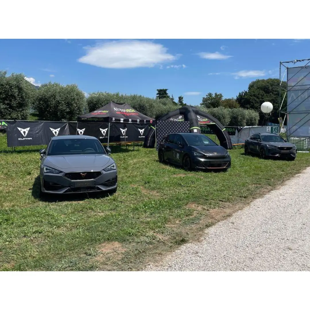 immagine di galleria