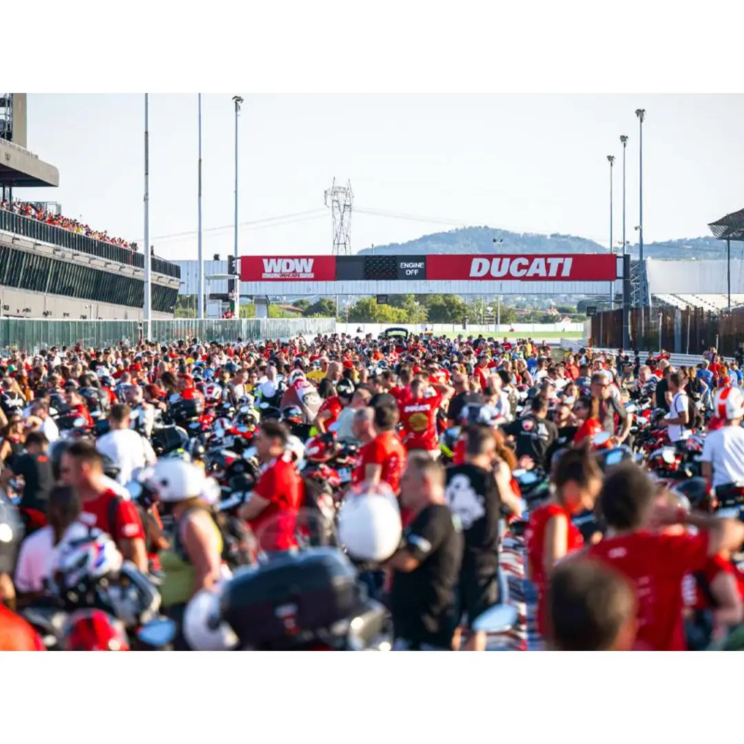 immagine di galleria