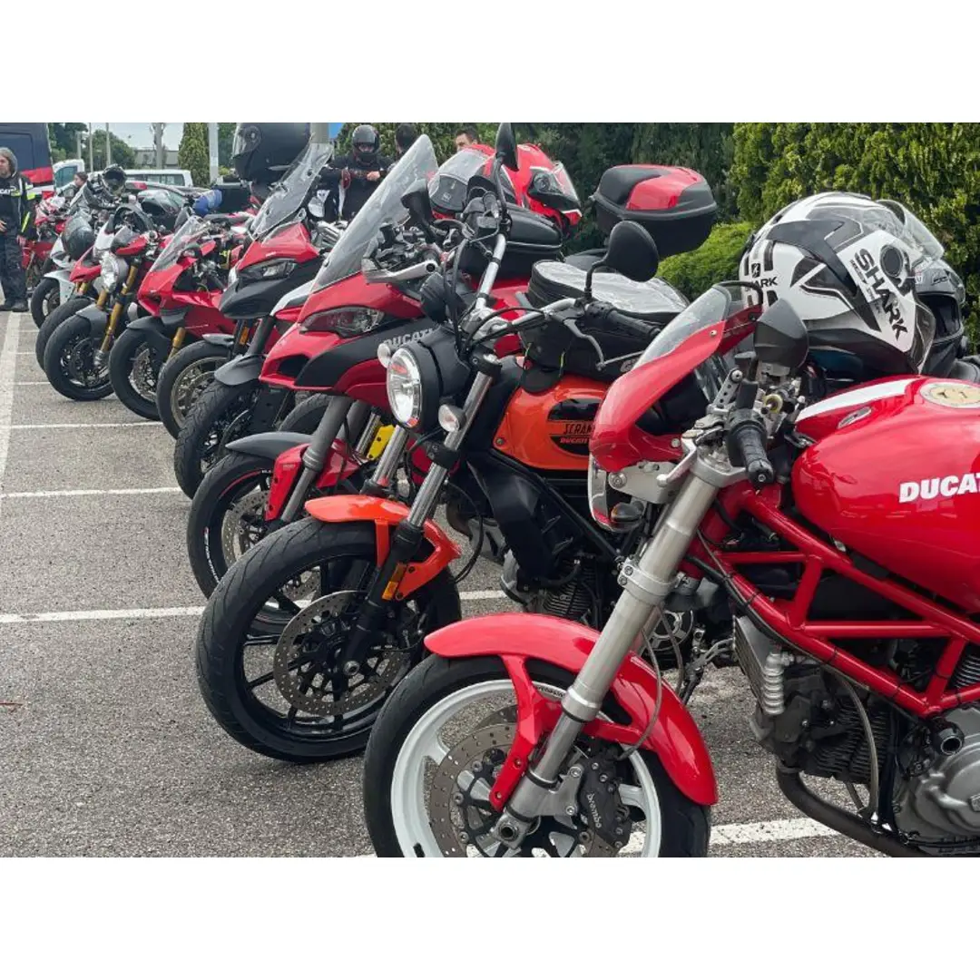 immagine di galleria