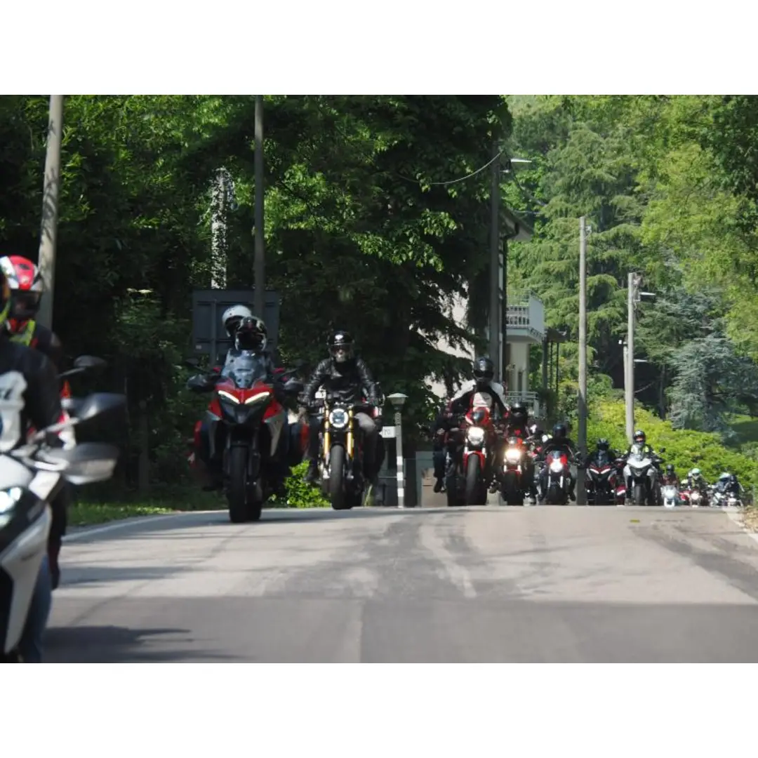 immagine di galleria