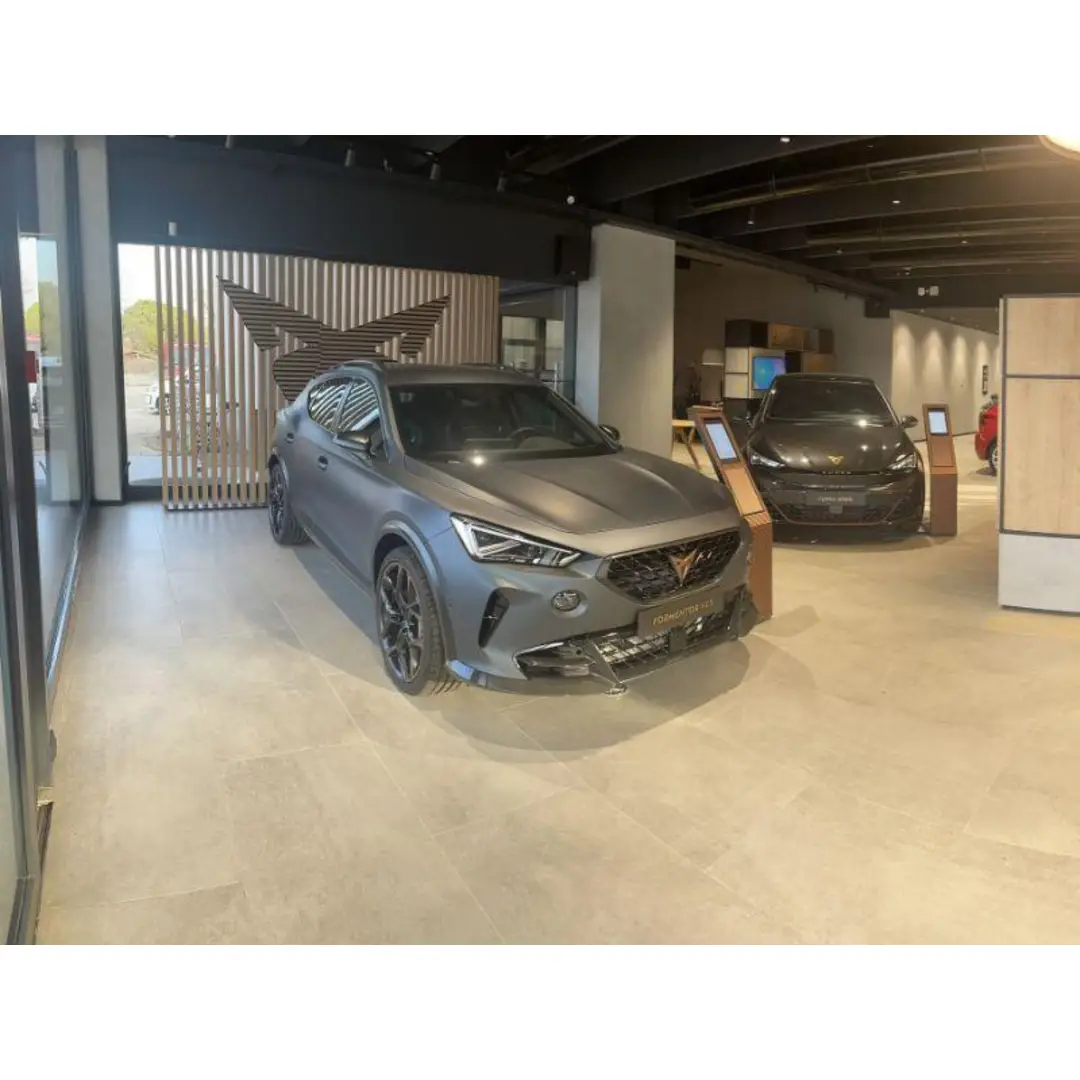 immagine di galleria