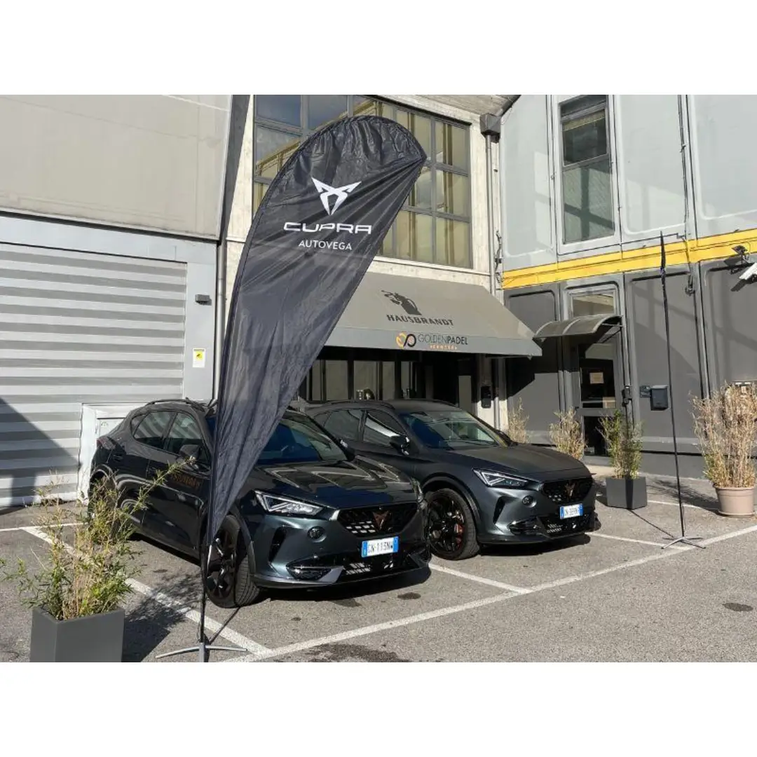 immagine di galleria