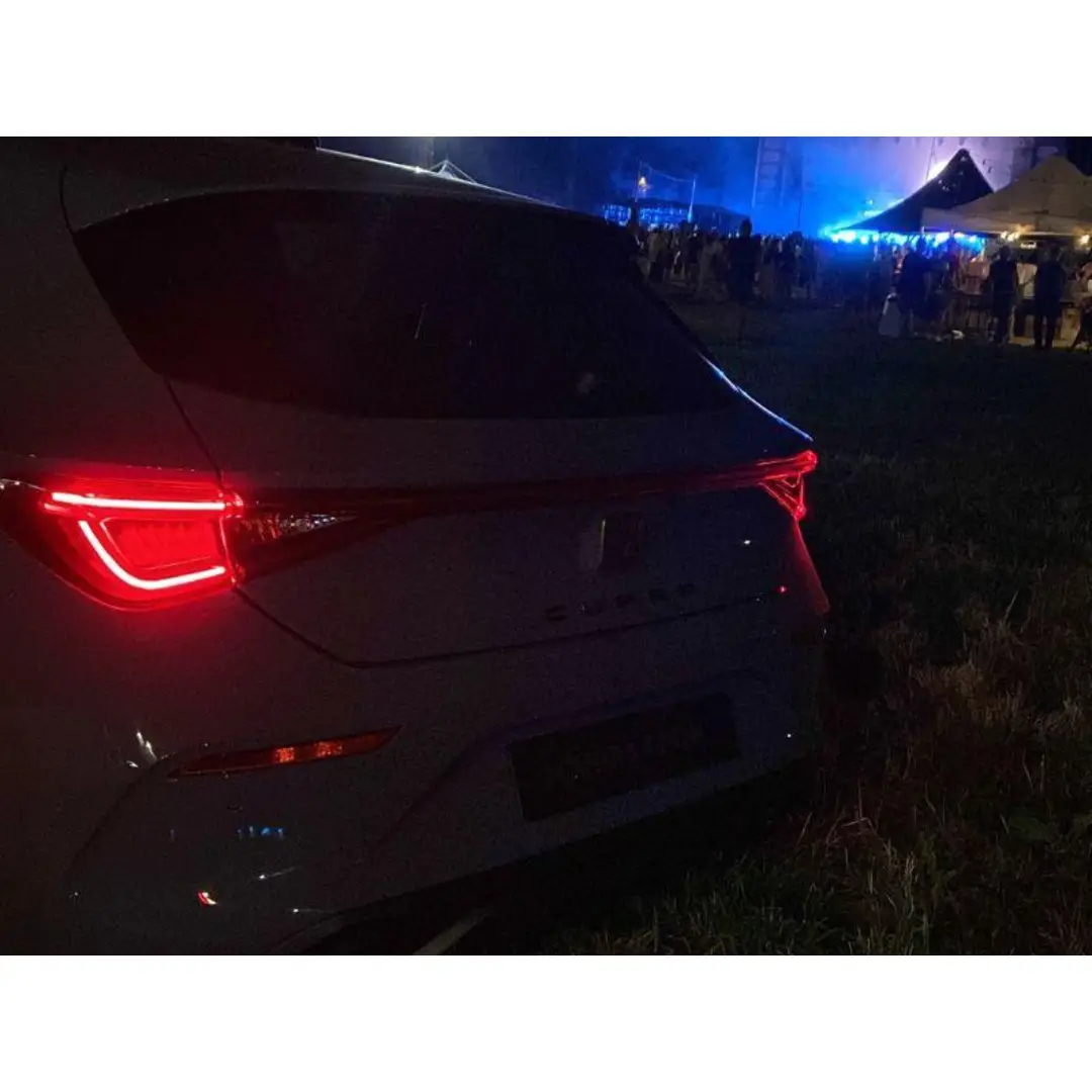 immagine di galleria