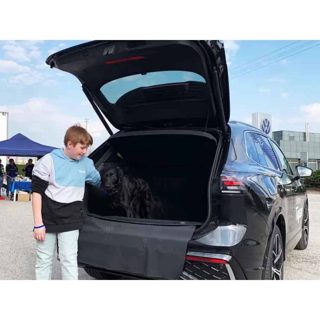 immagine di galleria