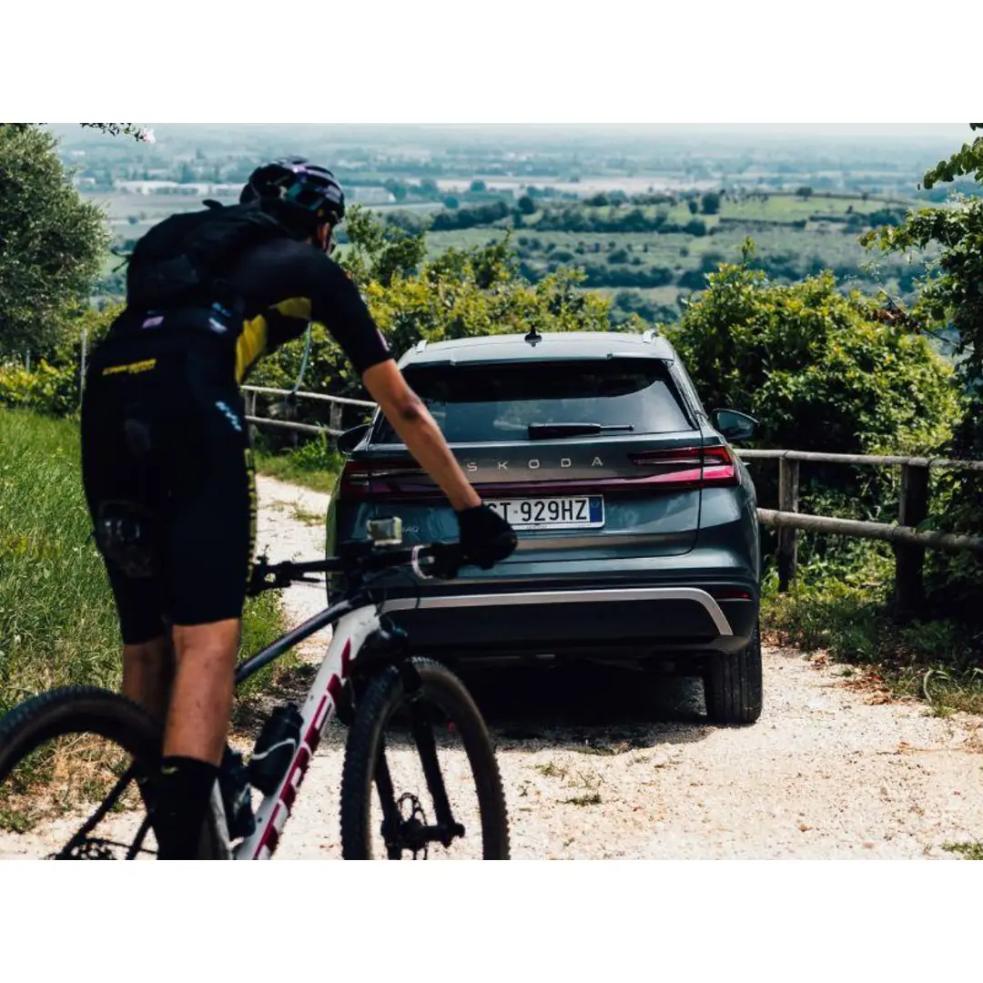 immagine di galleria