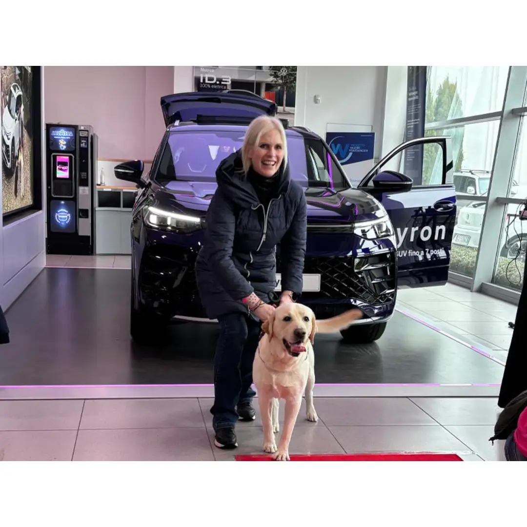 immagine di galleria