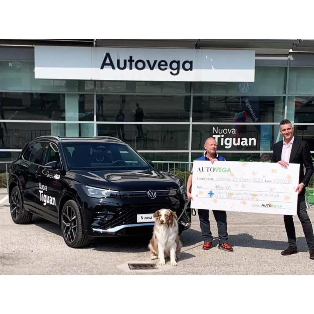 immagine di galleria