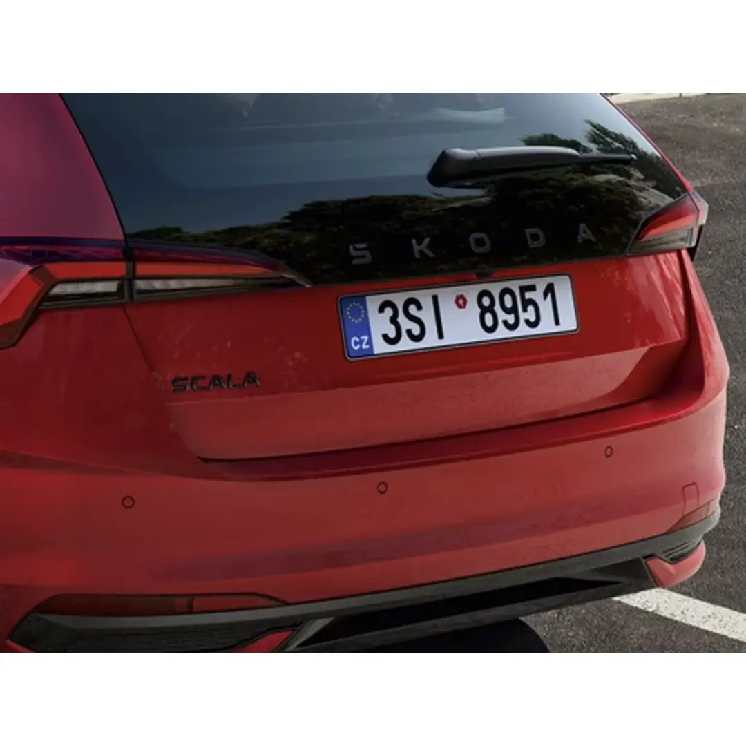 immagine di galleria