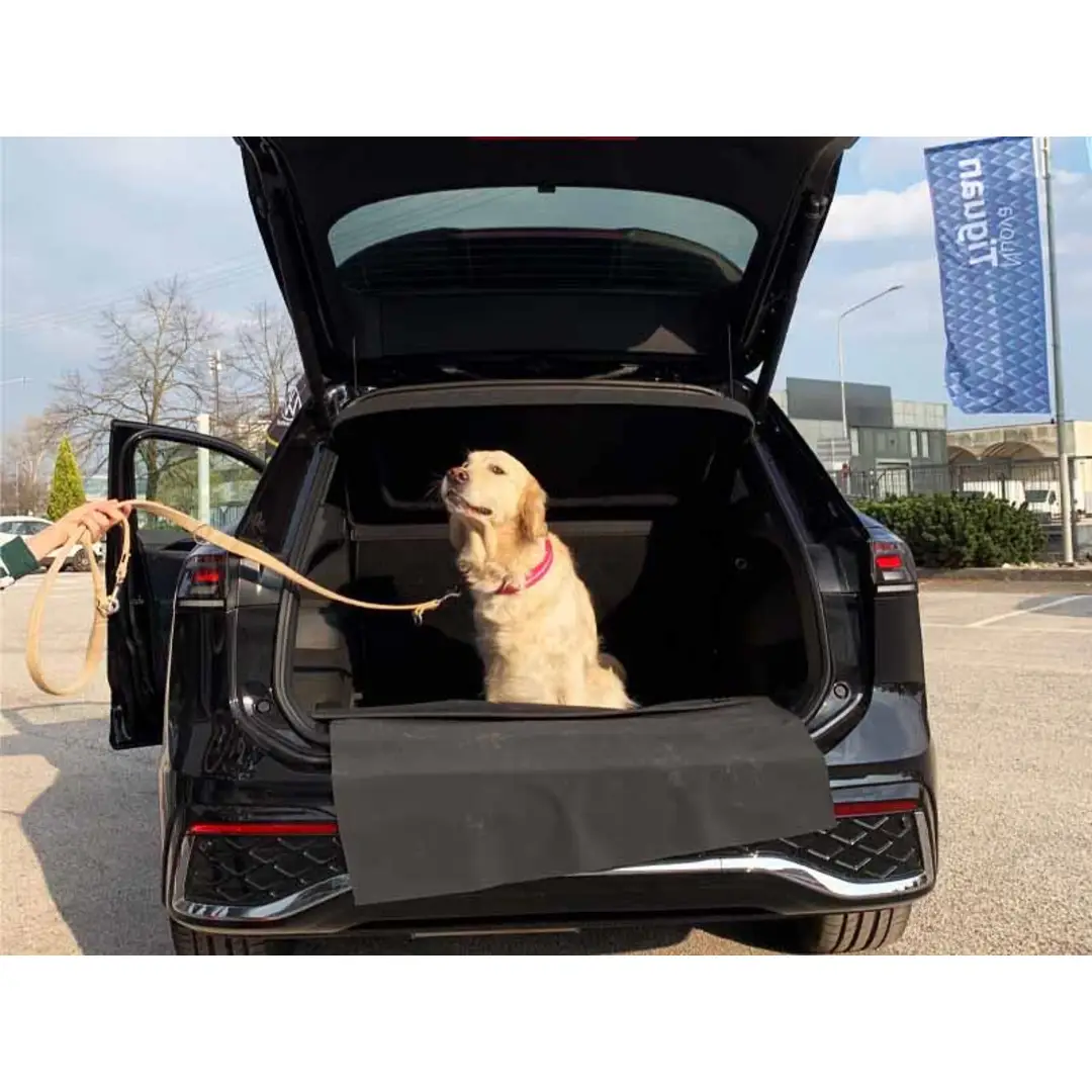 immagine di galleria