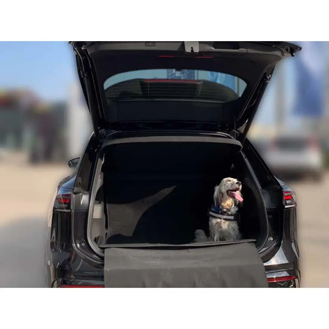 immagine di galleria