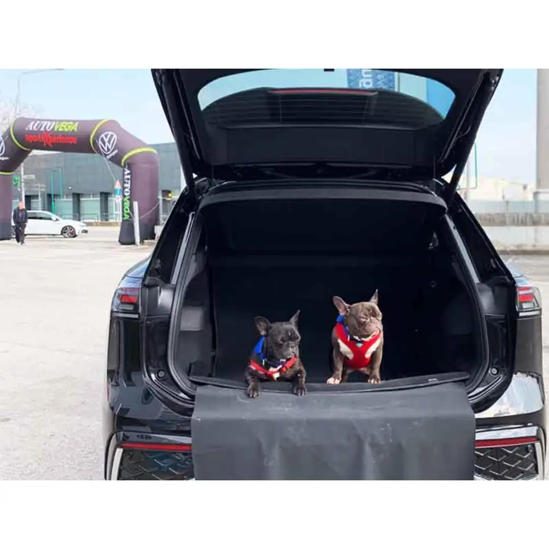 immagine di galleria