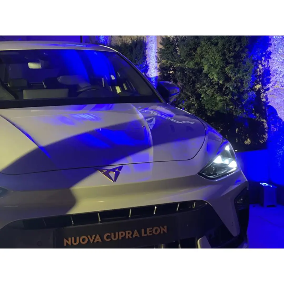 immagine di galleria