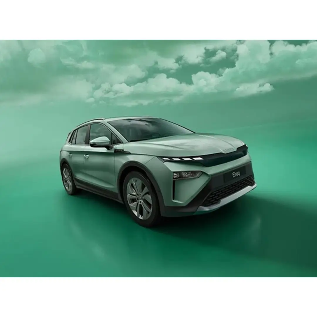 immagine di galleria