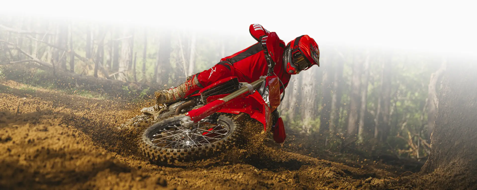 slider Desmo450 EDS. Pura adrenalina off-road