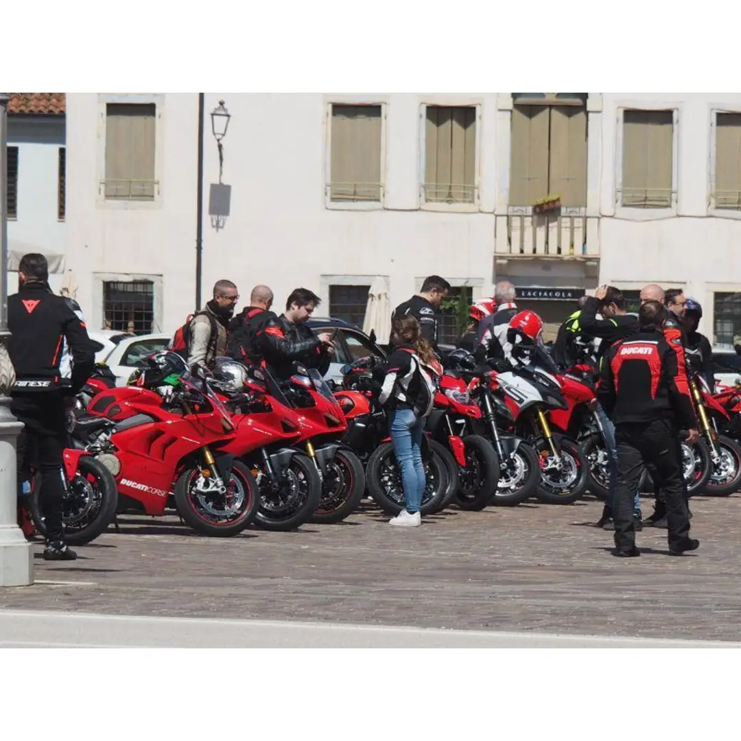 immagine di galleria