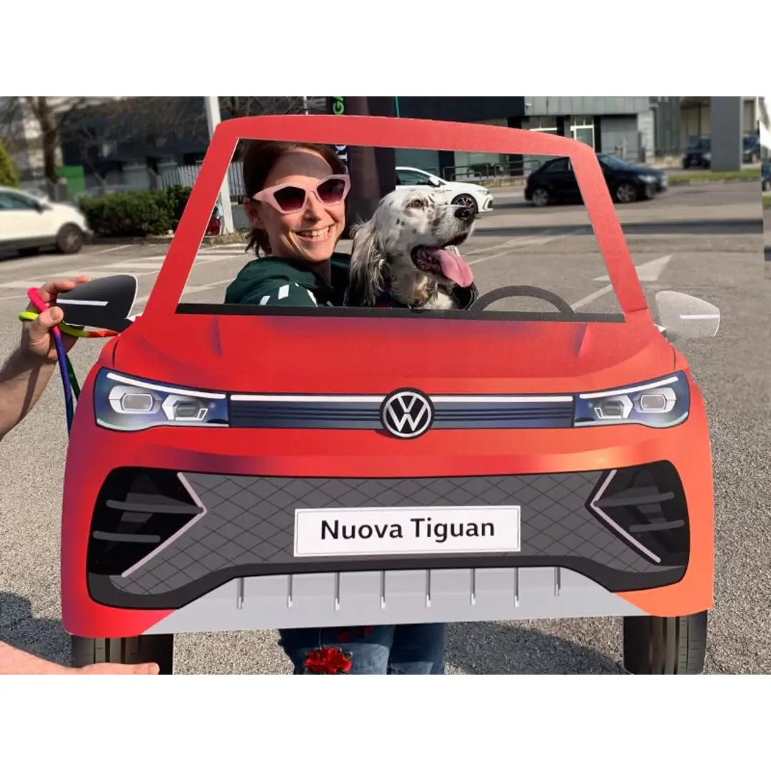 immagine di galleria