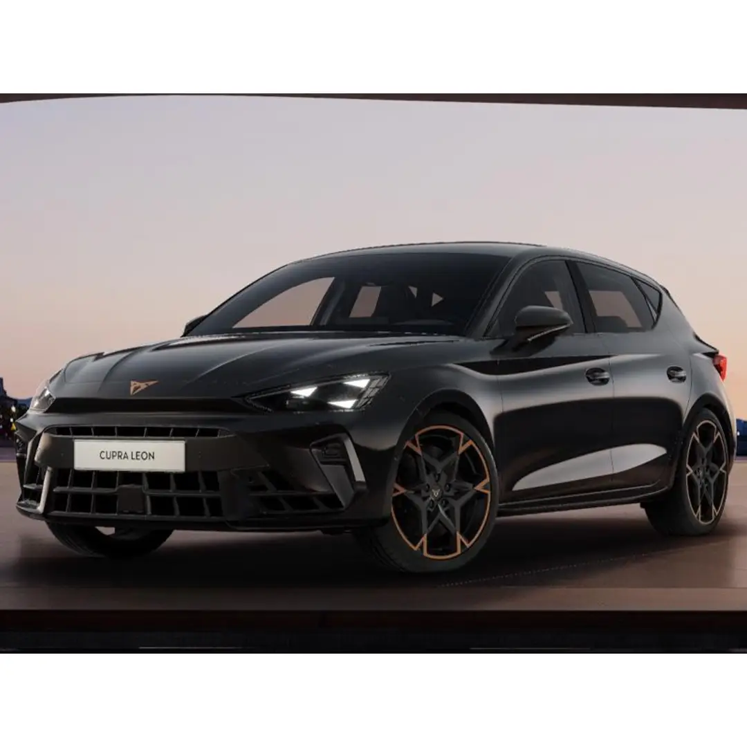 immagine di galleria