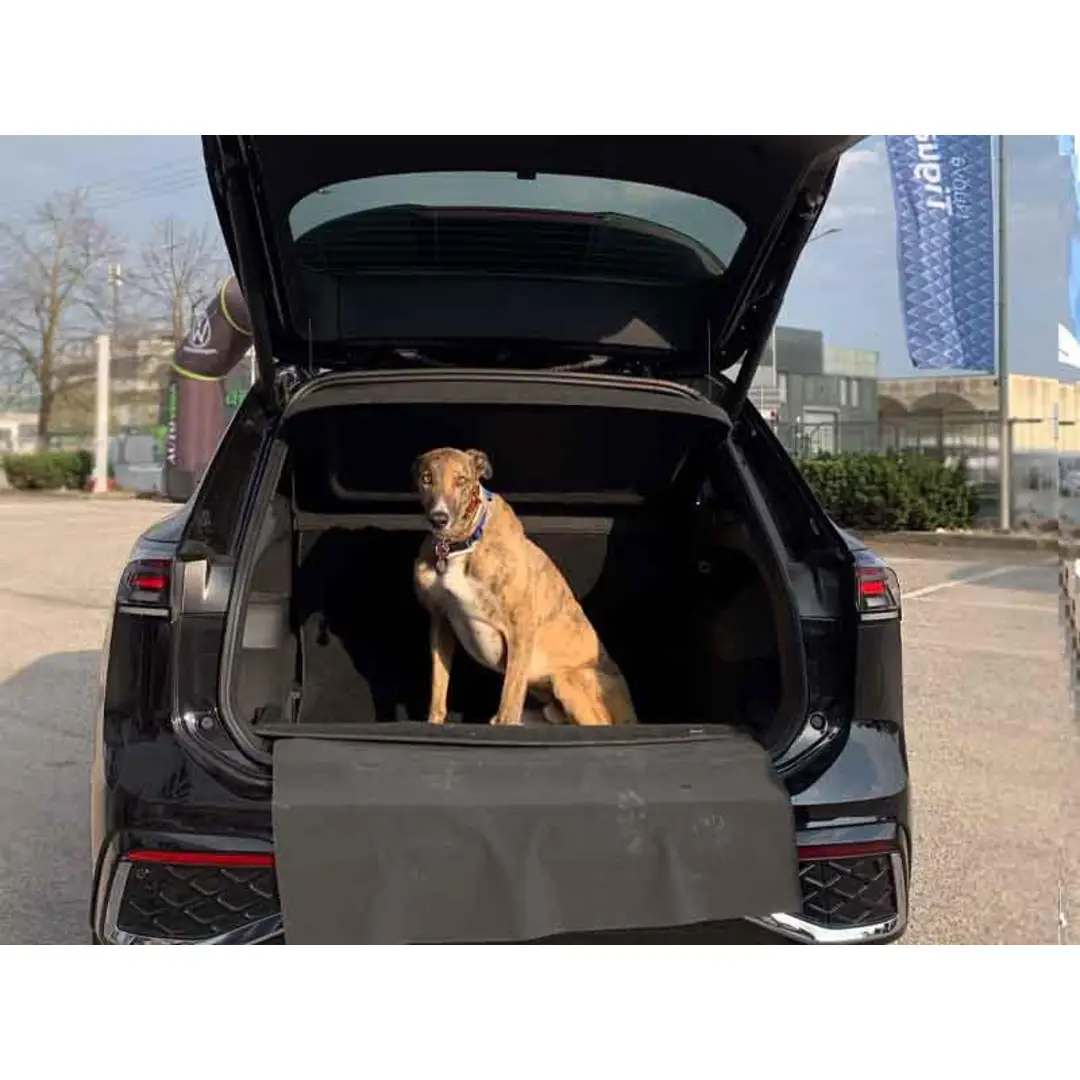 immagine di galleria