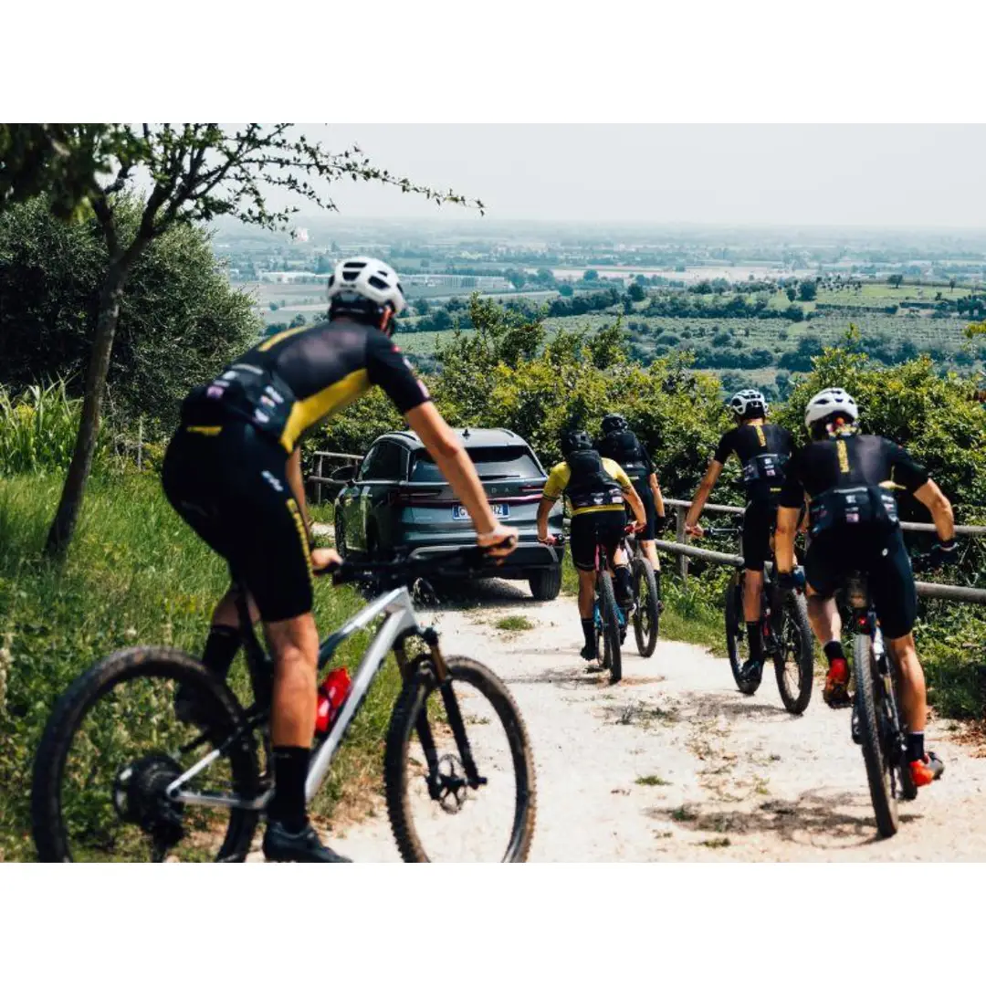 immagine di galleria