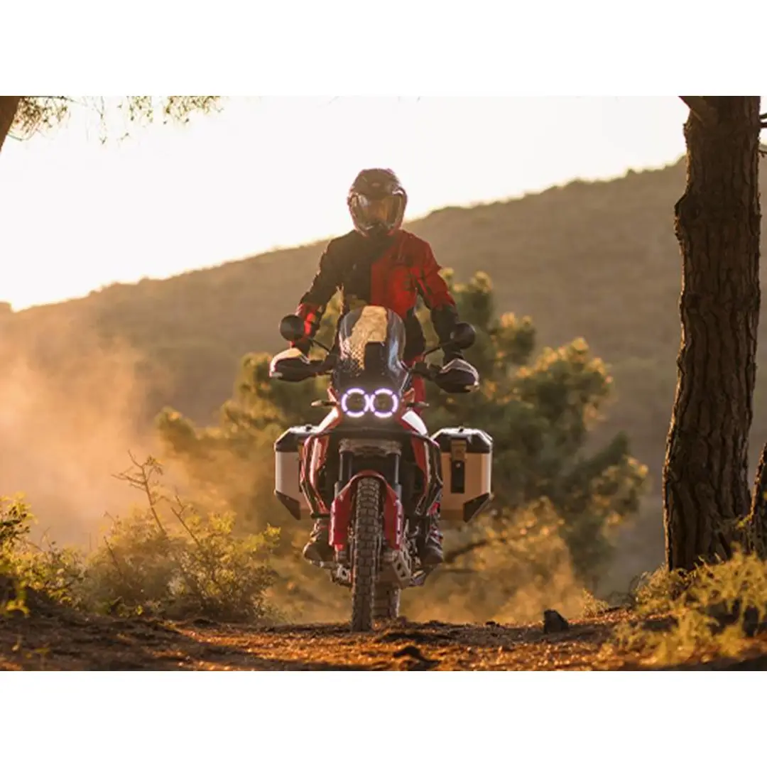 immagine di galleria