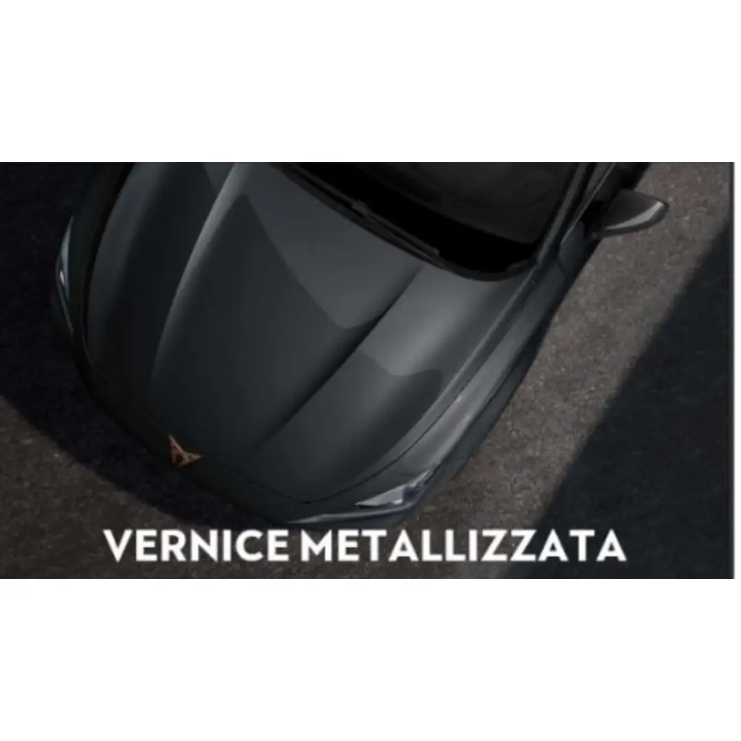 immagine di galleria