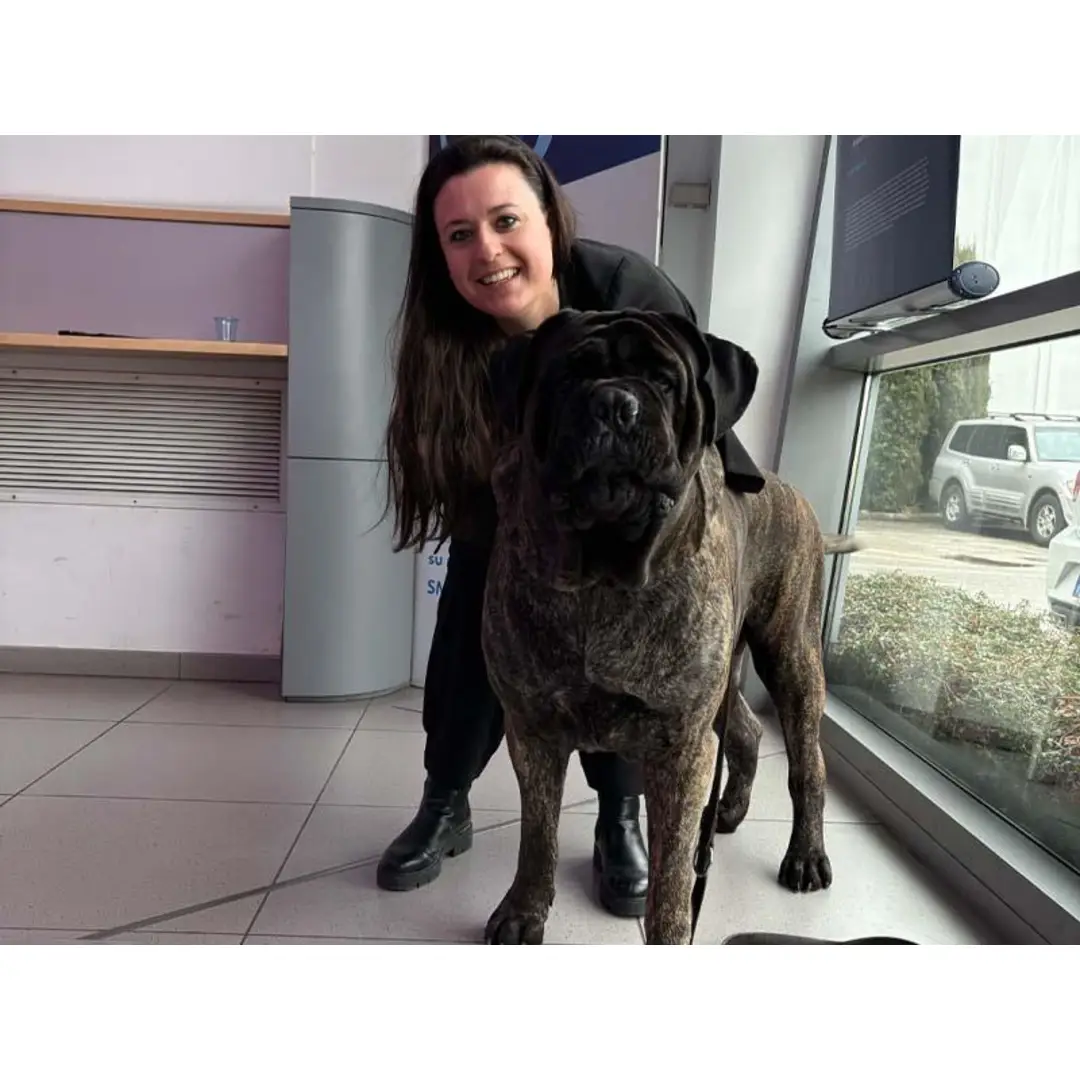 immagine di galleria