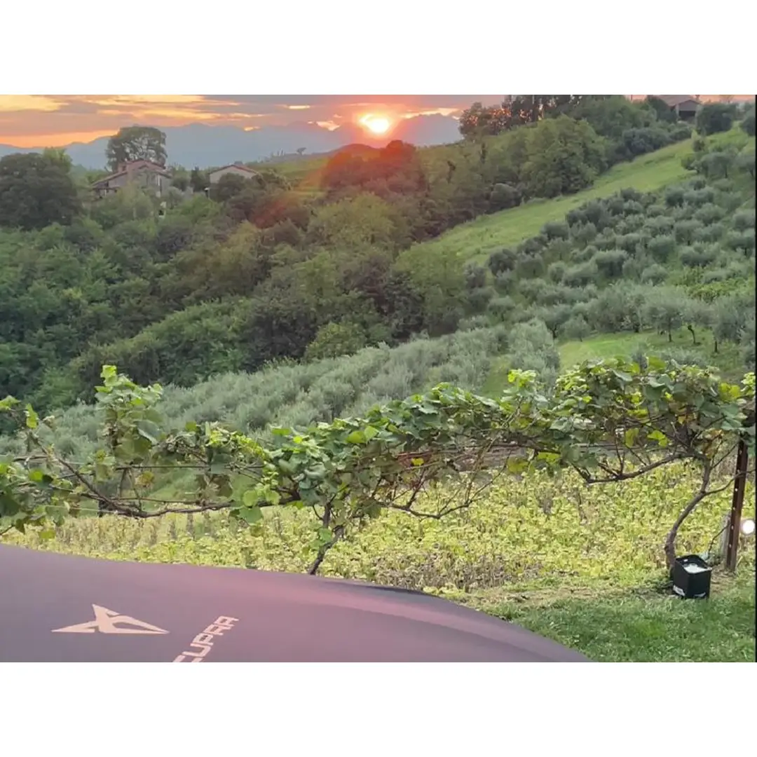 immagine di galleria