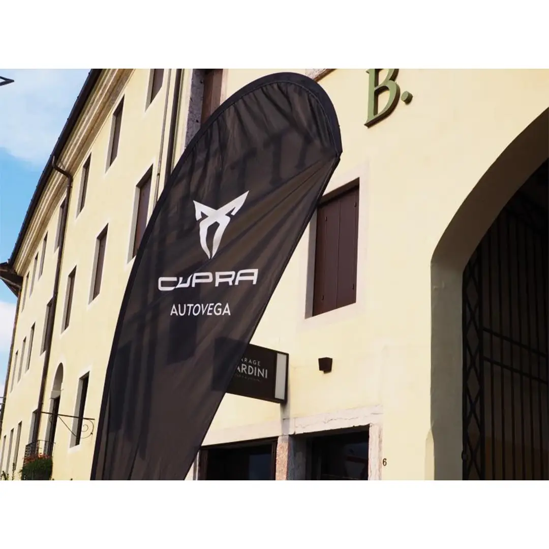 immagine di galleria