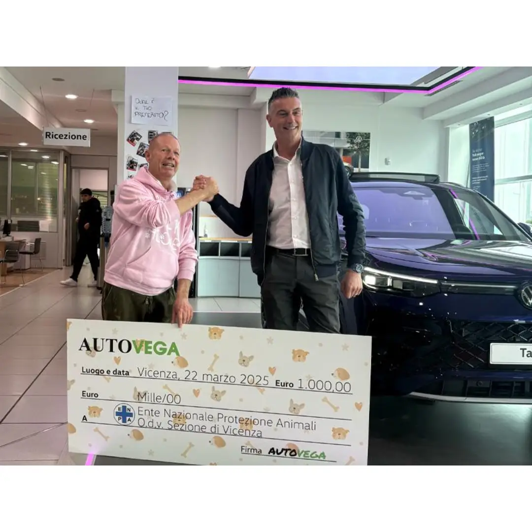 immagine di galleria