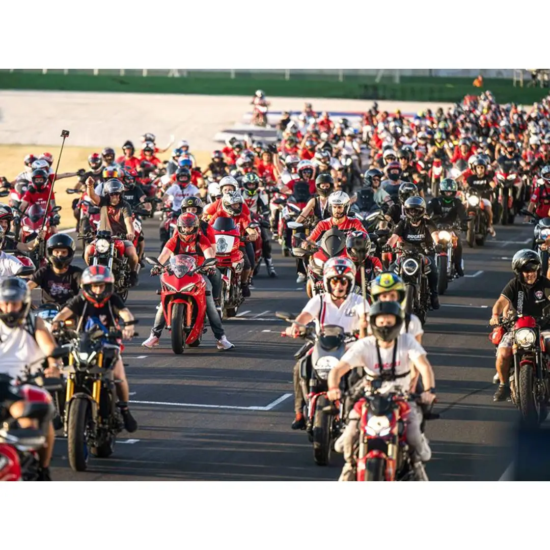 immagine di galleria