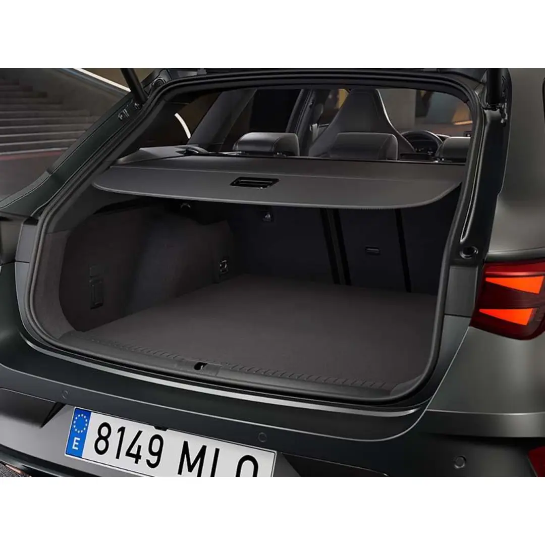 immagine di galleria